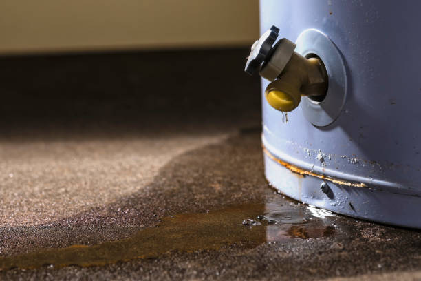 Best Carpet water damage restoration  in Bargersville, IN