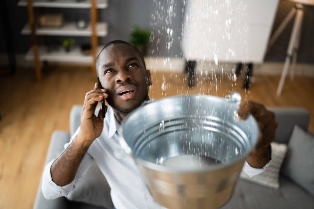 Best 24/7 water damage repair  in Bargersville, IN