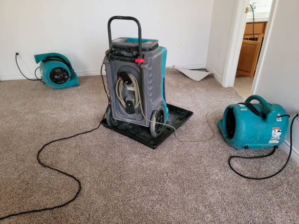 Carpet water damage restoration in IN