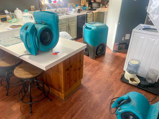Best Commercial water damage restoration  in Bargersville, IN