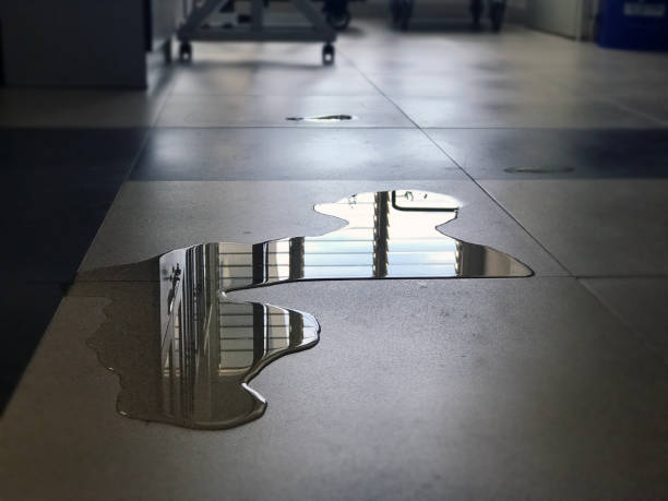 Best Water damage restoration near me  in Bargersville, IN