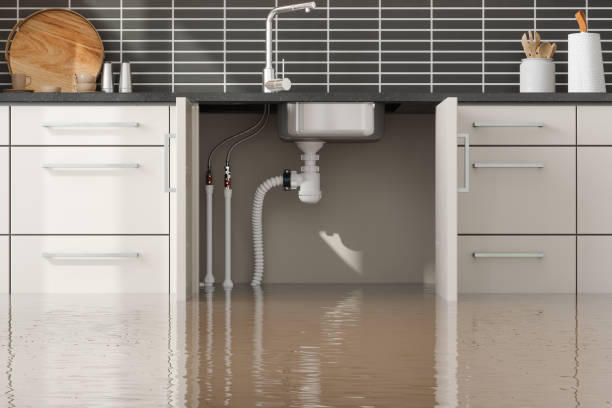 Best Professional water damage repair  in Bargersville, IN