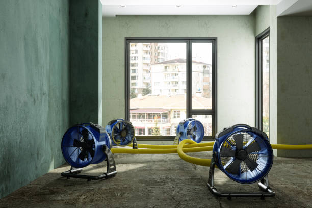 Best Sewage cleanup and water damage restoration  in Bargersville, IN