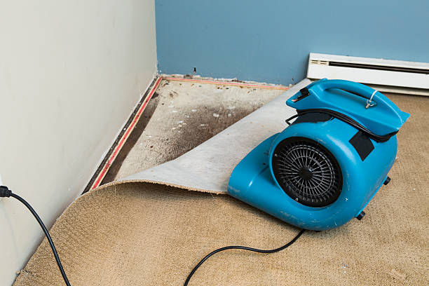 Best Water damage restoration services  in Bargersville, IN